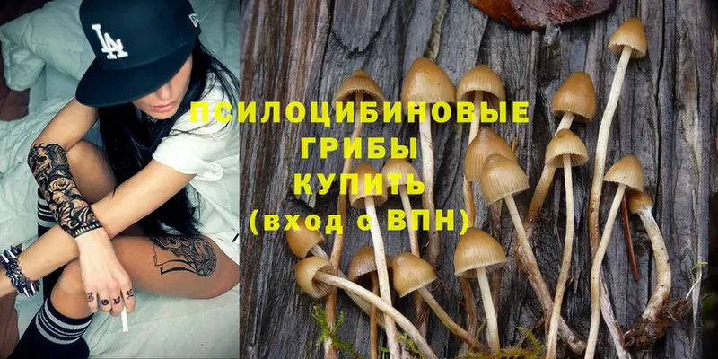 Галлюциногенные грибы MAGIC MUSHROOMS  Белый 